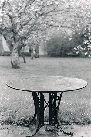 Garden B&W