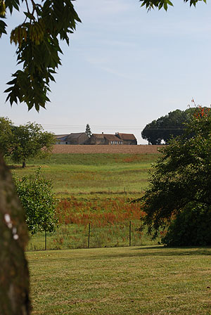 Views of the field
