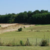 fields
